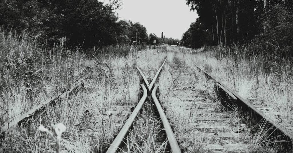 Black and white image of overgrown railway tracks diverging in a rural setting.