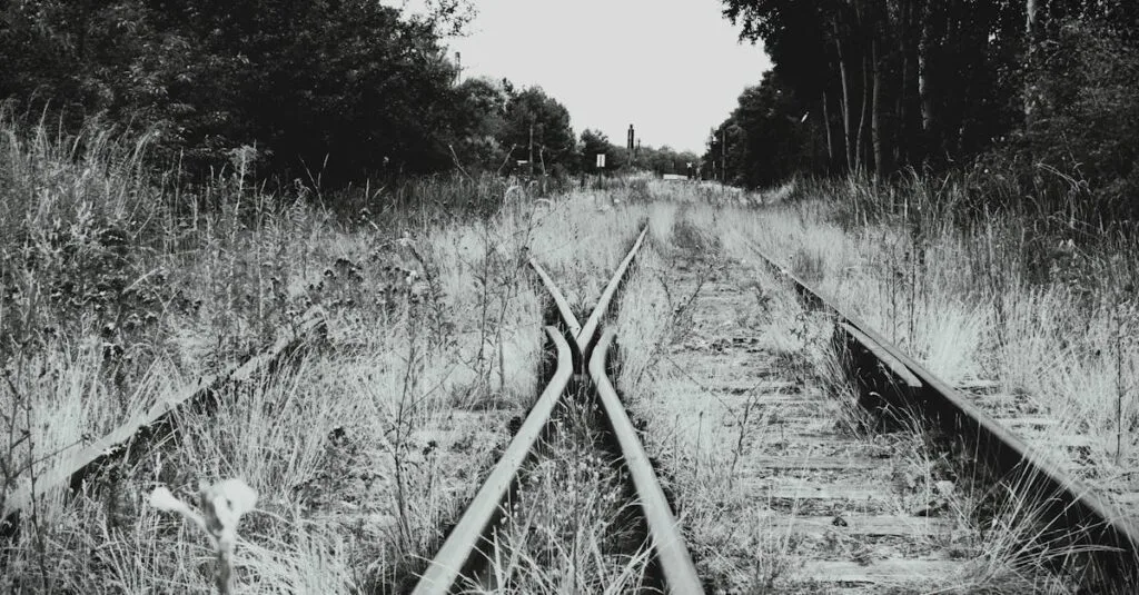 Black and white image of overgrown railway tracks diverging in a rural setting.
