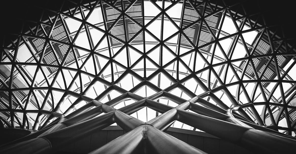 A striking black and white photo of a modern steel dome with geometric patterns.