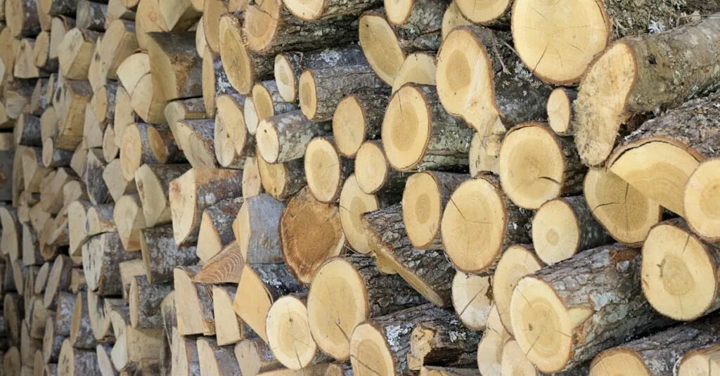 A neatly organized pile of cut firewood, ready for winter fuel in Florina, Greece.