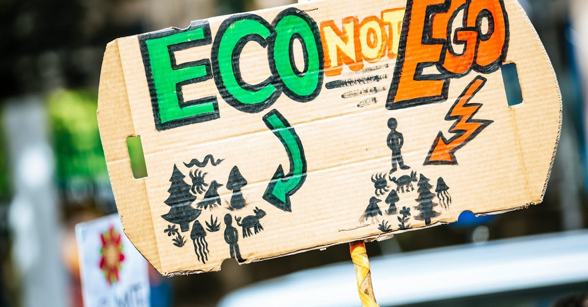 Close-up of a cardboard protest sign with 'Eco Not Ego' message at a climate rally.