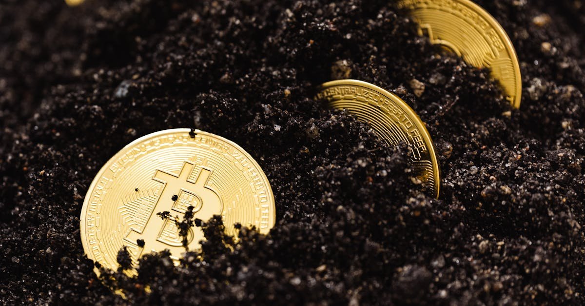 Close-up of golden bitcoins partially buried in dark, rich soil, symbolizing digital currency growth.