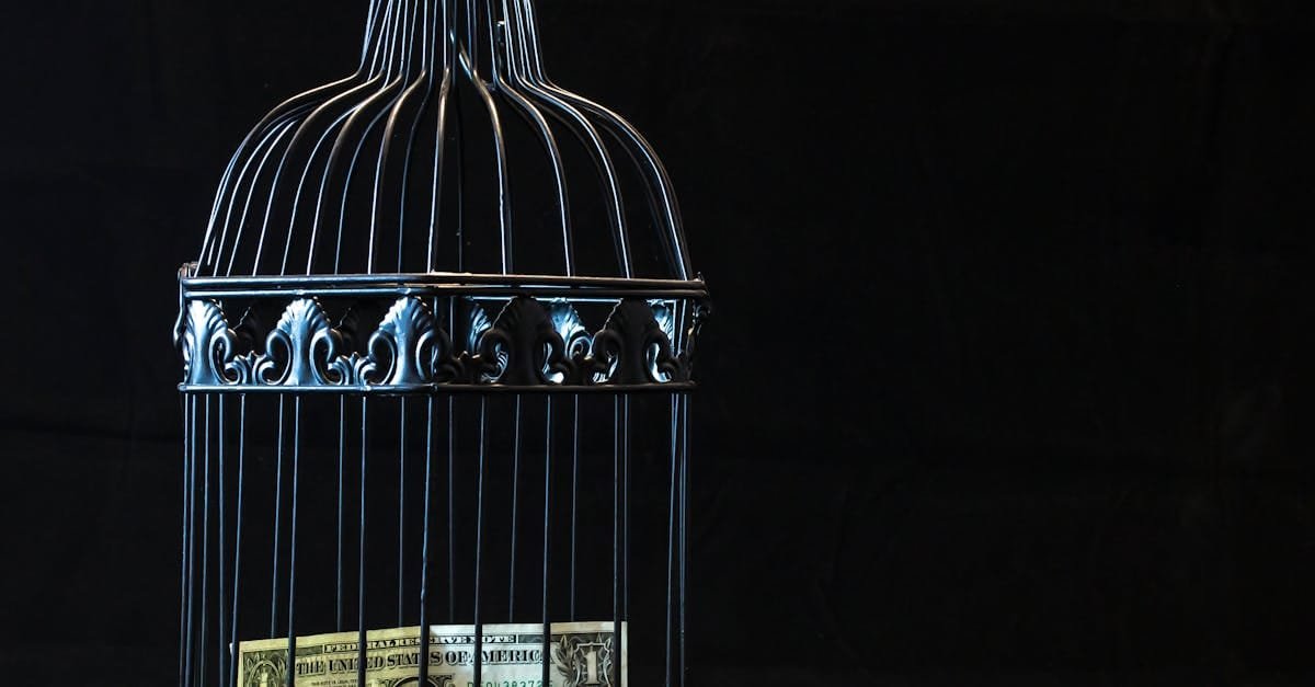 A dollar bill imprisoned in a decorative cage symbolizing financial confinement.