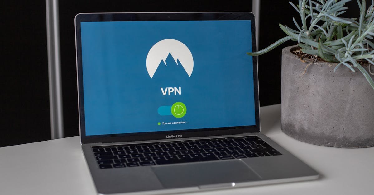 Laptop with VPN screen and a succulent plant on a desk, emphasizing online privacy and security.
