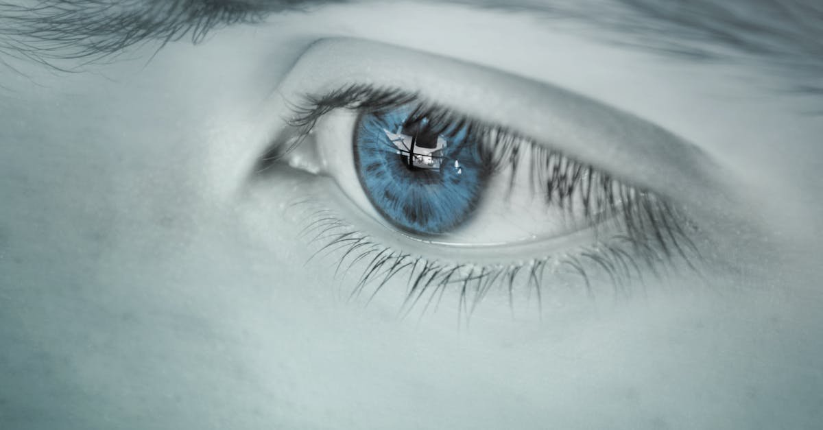 Detailed close-up of a blue eye showing a reflection, emphasizing uniqueness.