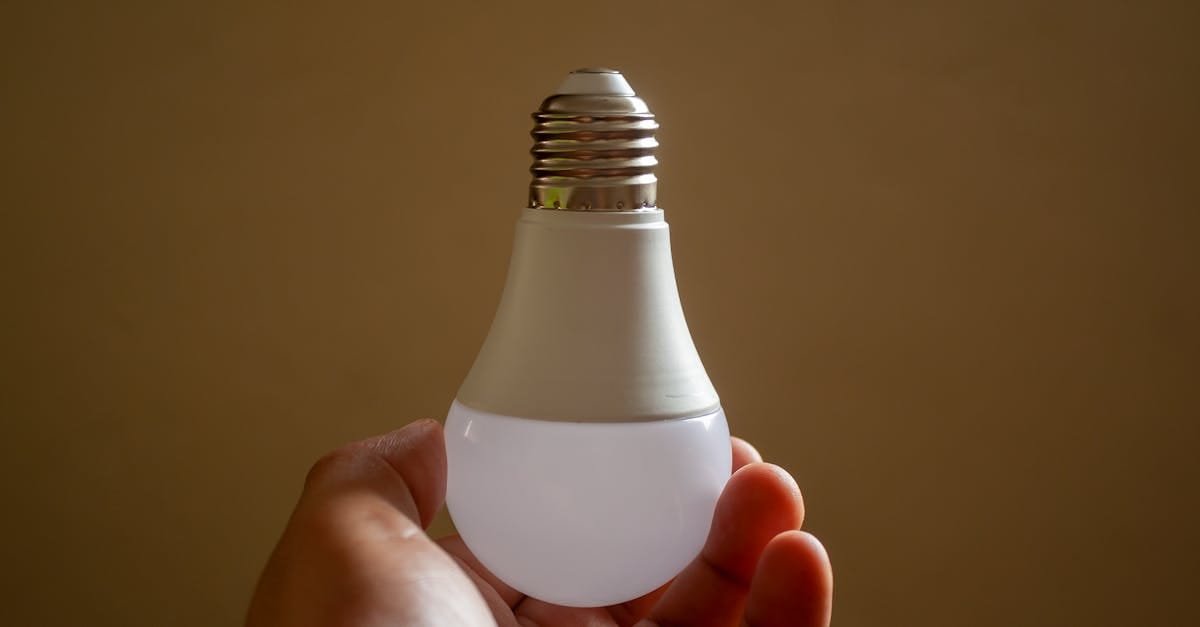 Free stock photo of eco-friendly, Energy-efficient, hands