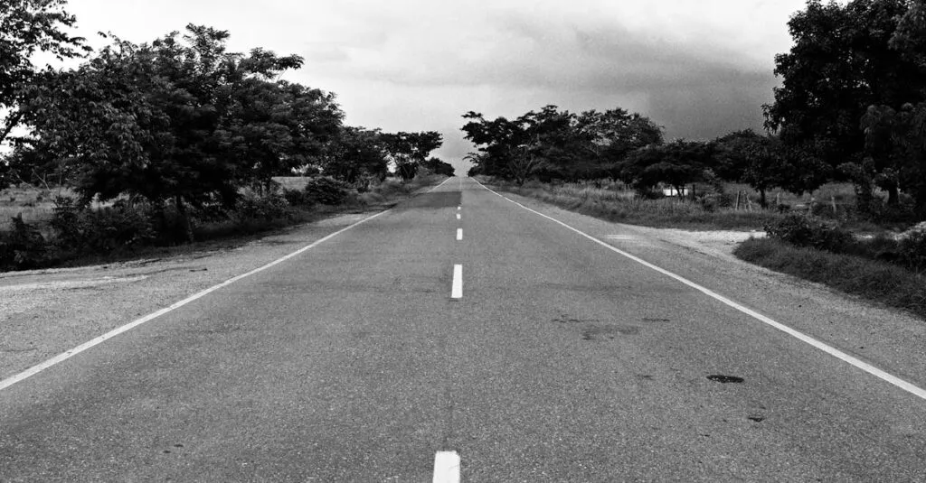 Black and white photo of a long, straight road lined with trees under a cloudy sky.