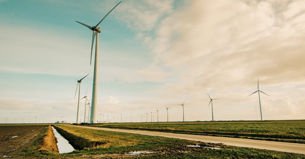 Scenic view of wind turbines in a rural Dutch landscape, generating renewable energy.